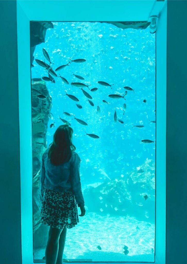 park aquarium 