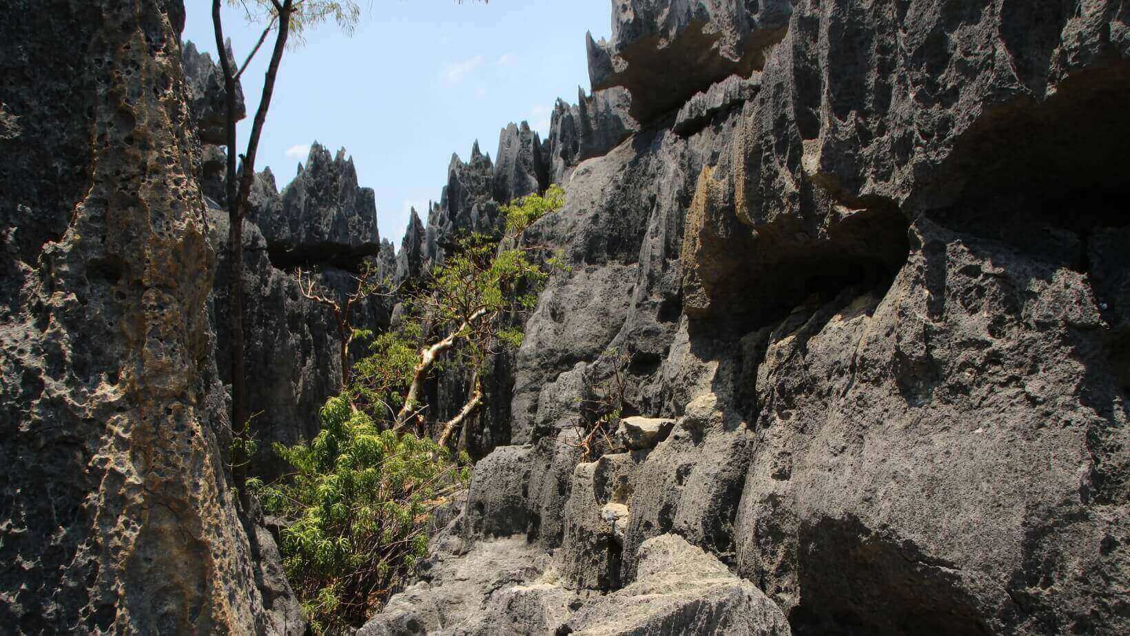 Tsingy de Bemaraha National Park in Madagascar