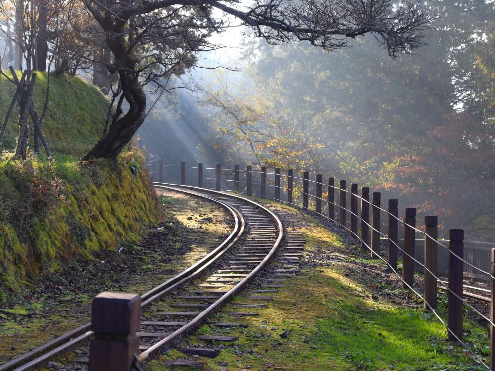 train tracks through forest 